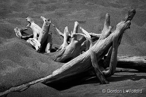 Bleached Tree Bones_01927.jpg - Photographed on the north shore in Lake Superior Provincial Park south of Wawa, Ontario, Canada.